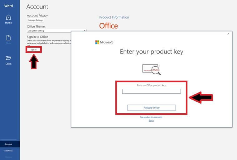 Download Office 2019 Pro Plus