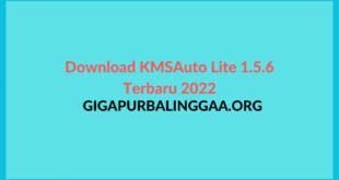 Kmsauto Lite Download